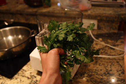handful of cilantro