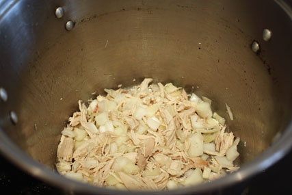 Onion and Chicken